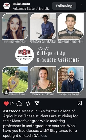 Academic colleagues and collaboration